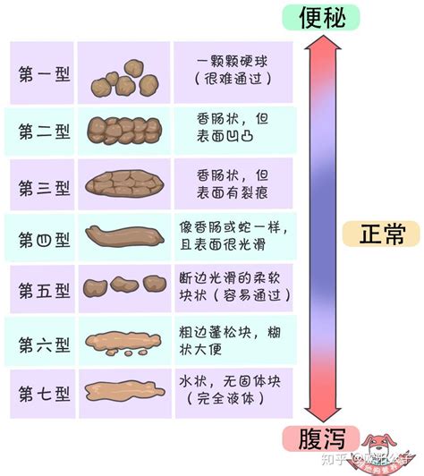 水便是什麼|為什麼會有水便？解析水便形成的原因及其健康影響